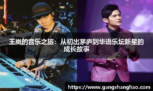 王岚的音乐之旅：从初出茅庐到华语乐坛新星的成长故事